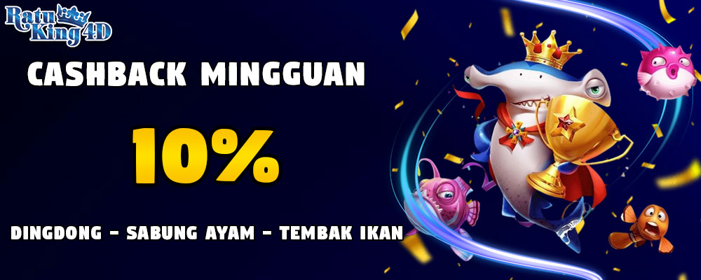 Cashback Mingguan DingDong, Sabung Ayam, dan Temba